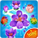 Blossom Blast Saga APK